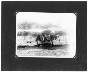 Primary view of object titled '[Plane Wreckage in McKinney, Texas]'.