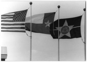 Primary view of object titled '[Three Flags at Love Field]'.