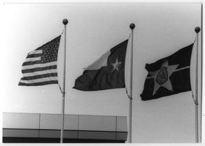 Primary view of object titled '[Three Flags at Love Field]'.