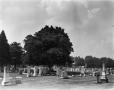 Photograph: [Oak Grove Cemetery]