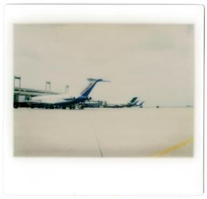 Primary view of object titled '[Dallas/Fort Worth Airport: Several Airplanes Attached to Jetways]'.