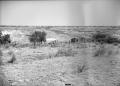 Primary view of [Mayfield Dugout, (View from ranch house)]