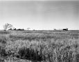 Primary view of [Fort Chadbourne, (Mess hall, hospital, View West)]