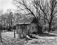 Photograph: [Drummond-Rogers-Perkins House, (Shed, Northeast oblique)]
