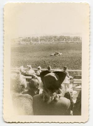 Primary view of object titled '[Photograph of a Rodeo]'.