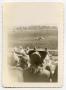 Thumbnail image of item number 1 in: '[Photograph of a Rodeo]'.