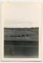 Photograph: [Photograph of Army Convoy]