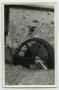 Photograph: [Photograph of Mill Wheel]