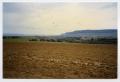 Primary view of [A Field Located Near Herrberchtheim]