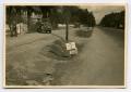 Photograph: [Photograph of Signs on Roadside]
