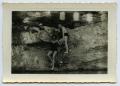 Photograph: [Photograph of a Swimming Hole]