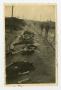 Photograph: [Dead Bodies at Landsburg, Germany Concentration Camp]