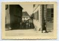 Photograph: [Photograph of Cows Pulling Cart]
