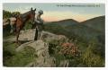 Primary view of [Postcard of Craggy Mountains near Asheville, North Carolina]