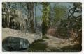 Primary view of [Postcard of Magnolia Gardens in Charleston, South Carolina]