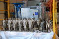 Thumbnail image of item number 1 in: '[Group of Mini Statues]'.