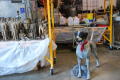 Primary view of [Mini Statues and a Dog]