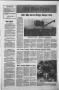 Primary view of The West News (West, Tex.), Vol. 91, No. 30, Ed. 1 Thursday, July 30, 1981