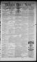 Primary view of Denison Daily News. (Denison, Tex.), Vol. 3, No. 32, Ed. 1 Wednesday, March 31, 1875