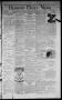 Primary view of Denison Daily News. (Denison, Tex.), Vol. 3, No. 170, Ed. 1 Saturday, December 25, 1875