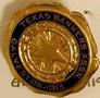 Physical Object: [Pin has star in center that states: "TEXAS BANKERS ASSN.  GALVESTON,…