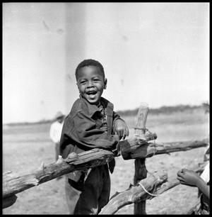 Primary view of object titled '[Boy Standing on a Fence]'.