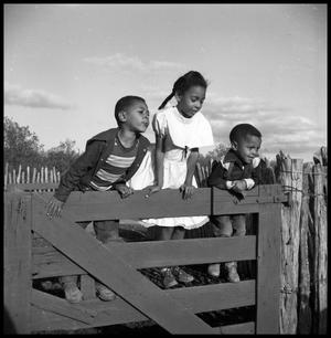 Primary view of object titled '[Oliver Jacobs' Grandchildren Leaning Over a Gate]'.