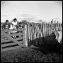 Thumbnail image of item number 1 in: '[Oliver Jacobs' Grandchildren at Cow Pen]'.