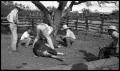 Primary view of [Cowboys with Calf under a Tree]