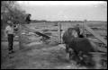 Primary view of [Watt Matthews and a Woman in Front of Cattle Pens]