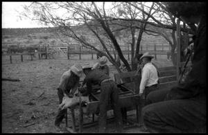 Primary view of object titled '[Cowboys Working Branding Table]'.