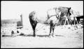 Primary view of [Work Horse Hauling Building Materials]
