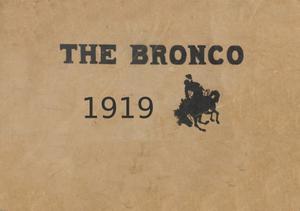Primary view of object titled 'The Bronco, Yearbook of Denton High School, 1919'.