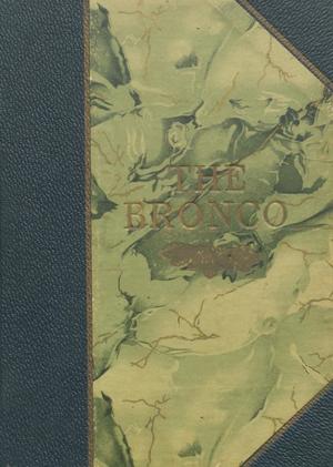 Primary view of object titled 'The Bronco, Yearbook of Denton High School, 1911'.