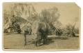 Photograph: [Photograph of Soldier Standing by Horse]