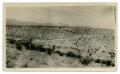 Photograph: [Photograph of Soldiers Riding in Long Line]