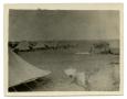Photograph: [Photograph of Soldier's Tents]