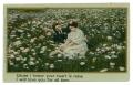 Postcard: [Illustrated Song Postcard, "You're the Brightest Star of all My Drea…