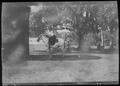 Primary view of [Postcard image of a woman riding a white horse]