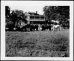 Photograph: [Photograph of four different breeds of cattle lined up in a pasture]