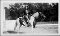 Primary view of [Photograph of a woman on a paint horse]