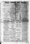 Primary view of The Daily Ledger and Texan (San Antonio, Tex.), Vol. 2, No. 520, Ed. 1, Thursday, August 29, 1861