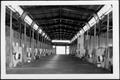 Photograph: [Photograph of the interior of a barn at the King Ranch]