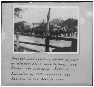 Primary view of object titled 'Cotton in Front of Wimmer Store in Oakville, Texas 1907'.
