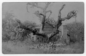 Primary view of object titled 'John F. Pettus Homestead'.