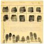 Legal Document: [Floyd Garland Hamilton Fingerprint Chart, 1934 - Dallas, Texas Polic…