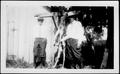 Thumbnail image of item number 1 in: '[Albert Peyton George and an unidentified man with a trussed deer and turkey]'.