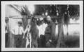 Photograph: [Photograph of four men posed next to trussed deer killed during a hu…