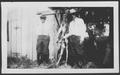 Photograph: [A. P. George and a man with a trussed deer and turkey killed during …