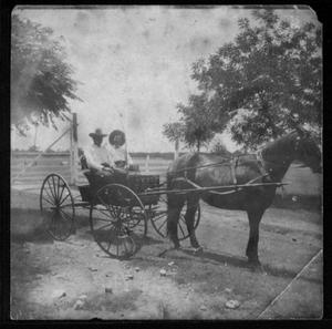 Primary view of object titled '[T. W. Davis and T. Martin in a buggy being pulled by a dark horse]'.